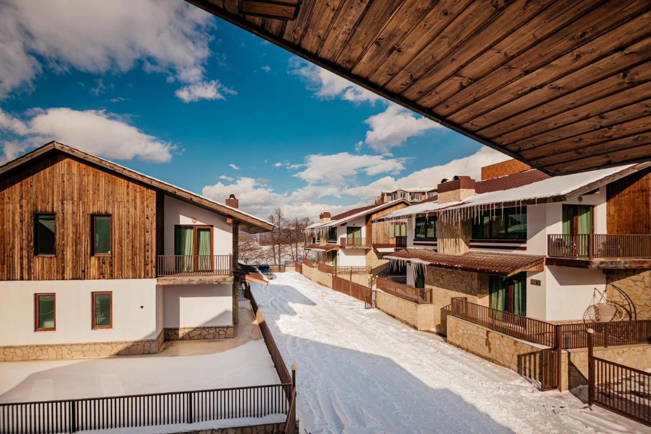 Villa In Crystal Bakuriani Exterior photo